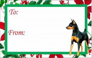 12 Miniature Pinscher Dog Christmas Gift Tags