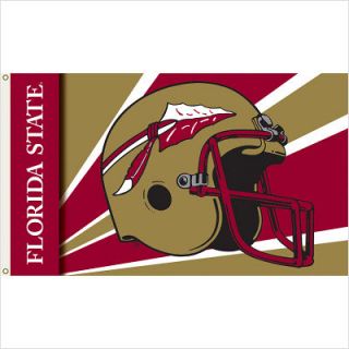 BSI Products Florida State Seminoles Flag with Grommets  Helmet Design