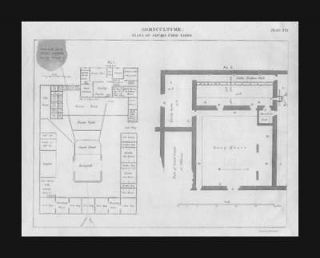 Architectural Floor Plan for Farm Building, Horse Stable,antique