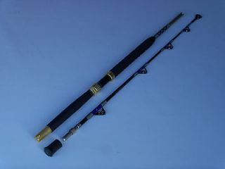 Newly listed Travel 2 Piece Roller Guides Troll Fishing Rod 80 100