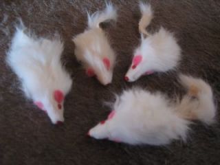rattle mice cat toys