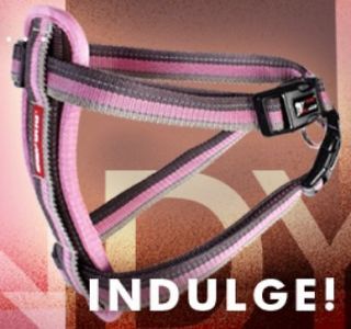 EZY DOG Chest Plate Harness   Candy Pink   Seat Belt Restraint