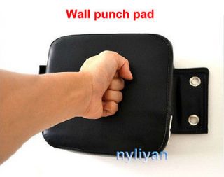 Straight Punch Wall Focus Target Punch Pad WING CHUN EXPLOSIVE FORCE*