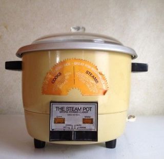 Electric Van Wyck The Steam Pot Natural Steamer, Cooker, And Rice Pot