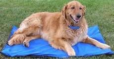 Cooling Pet Dog Mat   Variety of Sizes and Colors
