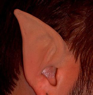 Large Elf Ears Costume  Latex Prosthetic Painted Medium