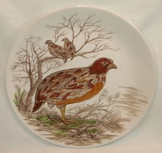 BRITISH ANCHOR China QUAIL Dinner Plate Wild Birds of Heath & Moorland