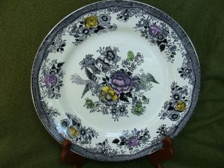 Norsk Egersund Black Pheasant Decorative Plate