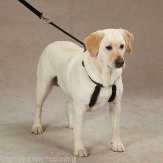 Pet Supplies Dog Training Leads/Leashes