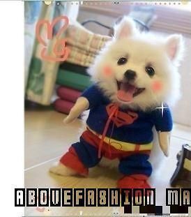 New 2012 dogs superman outfit big dog clothes summer pet supplies