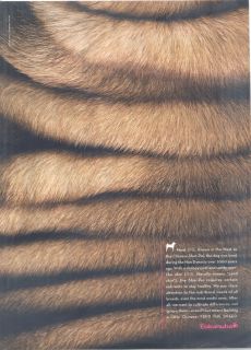 Dogs, Chinese Shar Pei, Eukanuba Dog Food, 2006 Magazine Print Ad