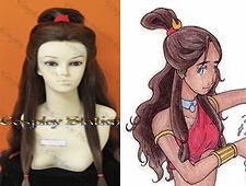 Avatar The last Airbender Katara Cosplay Wig_com373