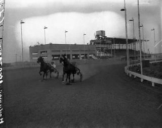 1946 4x5 NEG Harness horses working out on track  188