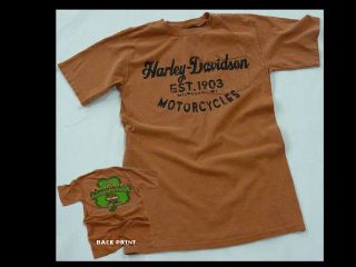 Dublin Harley Davidso n Irish Vintage Erosion Mens T shirt