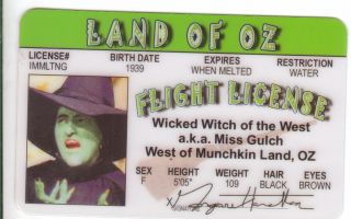 the Wizard of OZ the Wicked Witch of the West Elphaba Plastic
