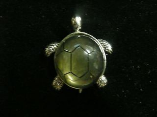 Turtle Costume Jewelry Brooch See Thru Shell Unique