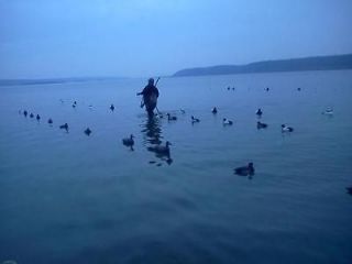 FULLY GUIDED DUCK HUNT POOL 9 MISSISSIPPI RIVER DIVER  PUDDLE DUCK