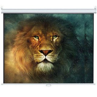 NEW 120 169 ELECTRIC HD PROJECTION SCREEN Matt White Projector