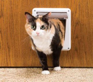 Petsafe DELUXE LOCKABLE Cat Dog Pet Door   Easy Install