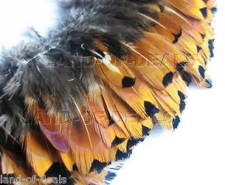 pheasant feathers, gold sides / 2” 4” (5 10cm) long / F19 1