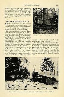 1911 Print California Endless Chain Saw Lumberjack Wood Timber Power