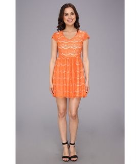 kensie Floral Lace Dress Womens Dress (Orange)