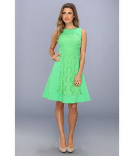 Maggy London Ponte/Lace Sleeveless Fit And Flare Dress Womens Dress (Green)