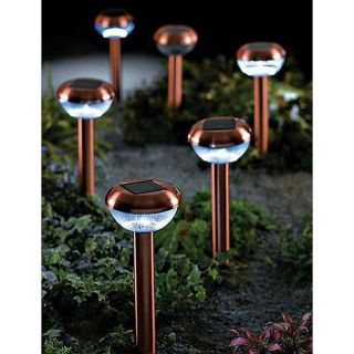 Copper Stainless Steel Garden Solar Landscape Lights (set Of 12)