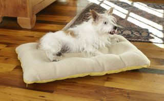 Futon Dog Bed Cover/Liner / Medium Dogs 35 70 Lbs., Popcorn,