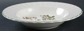 Mikasa Botany Large Rim Soup Bowl, Fine China Dinnerware   Ultra Ceram,Various F