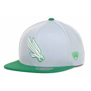 North Texas Mean Green Top of the World NCAA CWS Slam Fitted Cap