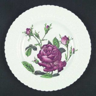 Royal Cauldon Flower Series Luncheon Plate, Fine China Dinnerware   Dotted Embos