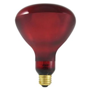 Bulbrite 250W Red Incandescent Heat Lamp Light Bulb   6 pk.   BULB602