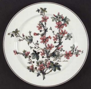 Villeroy & Boch Botanica Dinner Plate, Fine China Dinnerware   Various Flowers,
