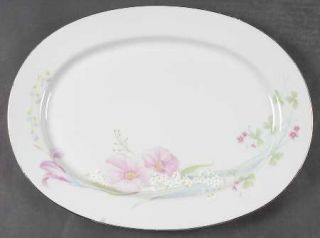 Studio Nova Pink Vista 14 Oval Serving Platter, Fine China Dinnerware   Pink &