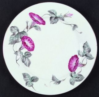 Noritake Morning Glory Dinner Plate, Fine China Dinnerware   Pink Flowers,Gray/G