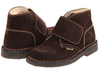 Primigi Kids Groungy 2 Boys Shoes (Brown)