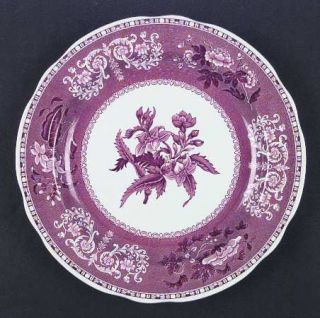 Spode Pink Camilla (Scallop, New Black Stamp) Dinner Plate, Fine China Dinnerwar