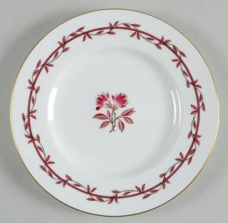 Minton Carmine Salad Plate, Fine China Dinnerware   Red/Taupe Flowers & Laurel