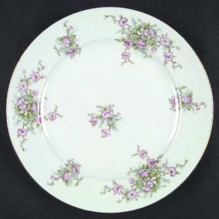 Bavaria Bav4 Dinner Plate, Fine China Dinnerware   Pink & White Flowers,Green Le