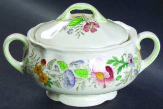 Royal Doulton Stratford (Floral) Sugar Bowl & Lid, Fine China Dinnerware   Multi