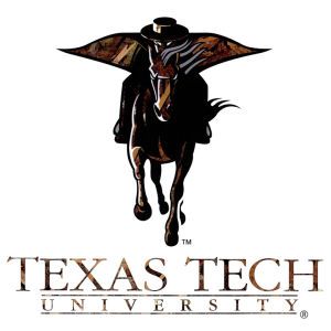 Texas Tech Red Raiders Collegiate Camo Large Decal