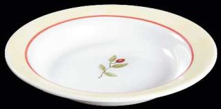 Corning Radiance 8 Soup/Pasta Bowl, Fine China Dinnerware   Ultra,Red Berry Spr