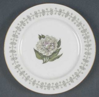 Royal Jackson Roj52 Bread & Butter Plate, Fine China Dinnerware   Flower In Cent
