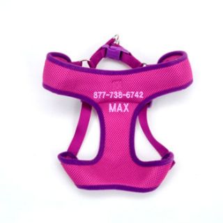 Small Personalized Two Tone Mesh Dog Harness in Purple, 19 23 Girth