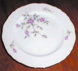 James Chatelaine Sharon Rose Bread & Butter Plate, Fine China Dinnerware   Pink