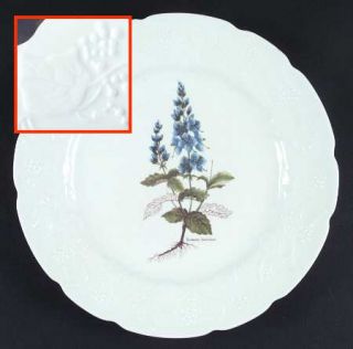 Dansk Ivy Accent Luncheon Plate, Fine China Dinnerware   Embossed Rim,Various Fl