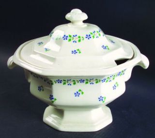 Iroquois Periwinkle Tureen &  Lid, Fine China Dinnerware   Museum,Blue Floral,Gr