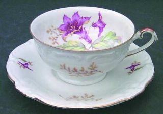 Royal Heidelberg Hibiscus Footed Cup & Saucer Set, Fine China Dinnerware   Pink
