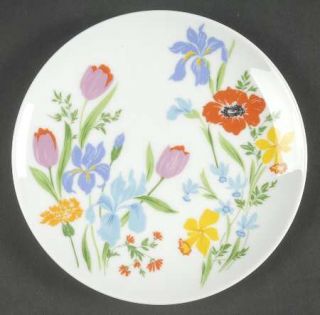 Heinrich   H&C Primavera Bread & Butter Plate, Fine China Dinnerware   Large Mul